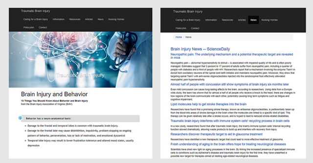 Brain Injury Project